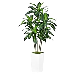 Astidy artificial dracaena for sale  Delivered anywhere in USA 