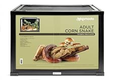 Komodo adult corn for sale  Delivered anywhere in UK