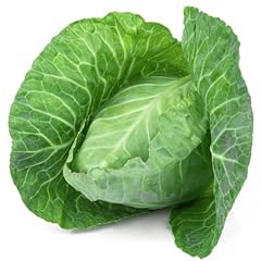 Cabbage plants durham for sale  Delivered anywhere in UK