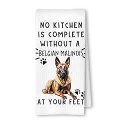 Artisaeura belgian malinois for sale  Delivered anywhere in USA 