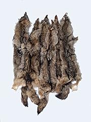 Tanned coyote pelt for sale  Delivered anywhere in USA 