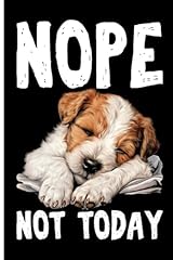Nope today lazy for sale  Delivered anywhere in UK