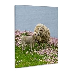 3drose scotland shetland for sale  Delivered anywhere in USA 