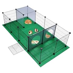 Jungle stone guinea for sale  Delivered anywhere in UK