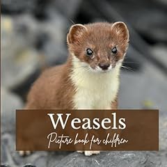 Weasels picture book for sale  Delivered anywhere in UK