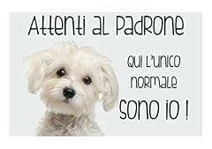 Cartello cane maltese usato  Spedito ovunque in Italia 