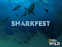 Sharkfest for sale  Delivered anywhere in USA 