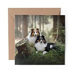 Greeting card sheltie for sale  Delivered anywhere in UK