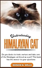 Understanding himalayan cat for sale  Delivered anywhere in UK