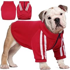 Pumyporeity bulldog breed for sale  Delivered anywhere in USA 