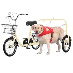 Chien marchant tricycle d'occasion  Livré partout en France