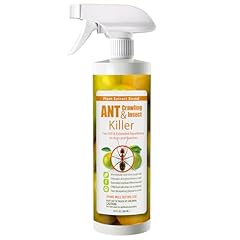 Ecoraider natural ant for sale  Delivered anywhere in UK