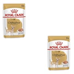 Royal canin chihuahua usato  Spedito ovunque in Italia 