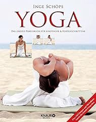 Yoga große praxisbuch gebraucht kaufen  Wird an jeden Ort in Deutschland