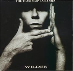 Wilder for sale  Delivered anywhere in UK
