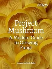 Project mushroom modern for sale  Delivered anywhere in UK