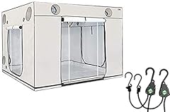 Homebox ambient q300 d'occasion  Livré partout en France