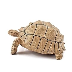 Awxzom sulcata tortoise for sale  Delivered anywhere in USA 