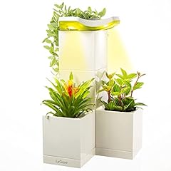 Legrow indoor planter for sale  Delivered anywhere in USA 