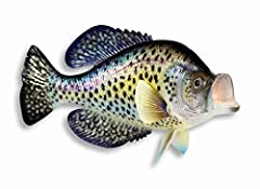 Hand painted crappie for sale  Delivered anywhere in USA 