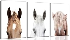 3pcs horse canvas for sale  Delivered anywhere in USA 