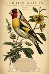 European goldfinch bird for sale  Delivered anywhere in USA 
