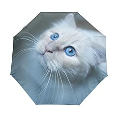 Weiße katze blaues gebraucht kaufen  Wird an jeden Ort in Deutschland