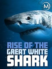 Rise great white for sale  Delivered anywhere in USA 