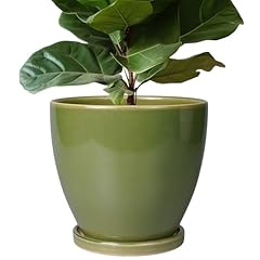 Epfamily ceramic pots for sale  Delivered anywhere in USA 