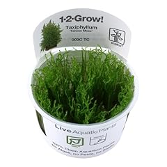 Tropica plants grow usato  Spedito ovunque in Italia 