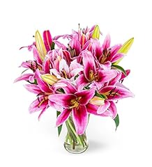 Stargazer lilies fresh for sale  Delivered anywhere in UK