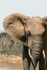 Elephant journal elephant for sale  Delivered anywhere in UK