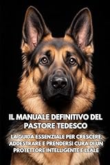 Manuale definitivo del usato  Spedito ovunque in Italia 