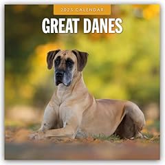Great danes deutsche gebraucht kaufen  Wird an jeden Ort in Deutschland