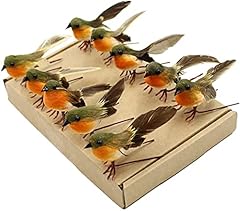Yolococa petits oiseaux d'occasion  Livré partout en France