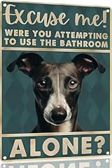 Toppacific whippet dog for sale  Delivered anywhere in USA 