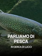 Parliamo pesca cerca usato  Spedito ovunque in Italia 