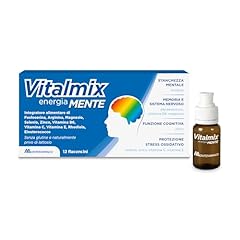 Vitalmix mente integratore usato  Spedito ovunque in Italia 