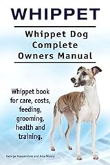 Whippet. whippet dog for sale  Delivered anywhere in UK