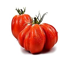 Pomodori cuore bue usato  Spedito ovunque in Italia 