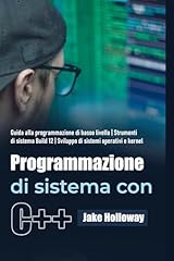 Programmazione sistema con usato  Spedito ovunque in Italia 