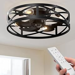 Passky fandelier ceiling for sale  Delivered anywhere in USA 