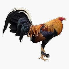 Magnet gallos gamefowl for sale  Delivered anywhere in USA 