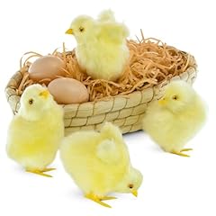 Bvdtitb baby chick for sale  Delivered anywhere in USA 
