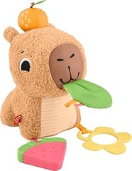 Fisher price marmotta usato  Spedito ovunque in Italia 
