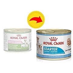Royal canin starter for sale  Delivered anywhere in UK