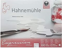 Hahnemühle expression bloc d'occasion  Livré partout en France