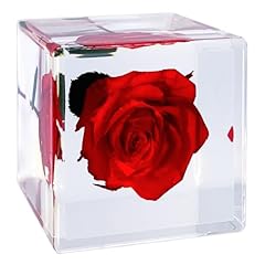 Bon cube lucky for sale  Delivered anywhere in USA 