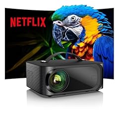 Beamer passend netflix gebraucht kaufen  Wird an jeden Ort in Deutschland