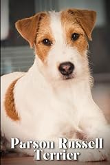 Parson russell terrier for sale  Delivered anywhere in UK